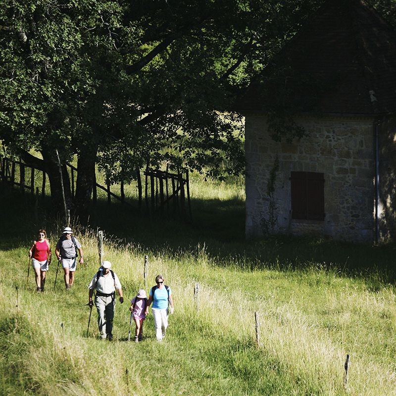 Randonnée et Trail