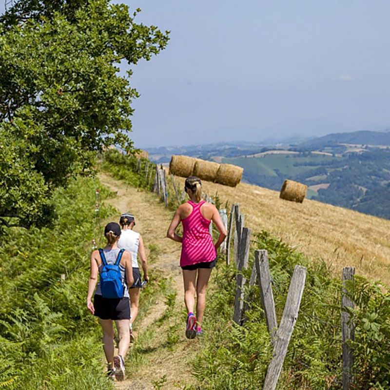 Hiking and mountain running