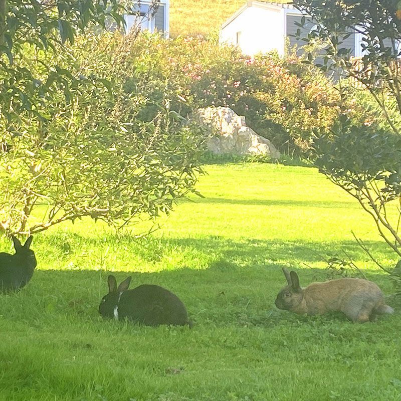 Camping Arrouach - Photo 5