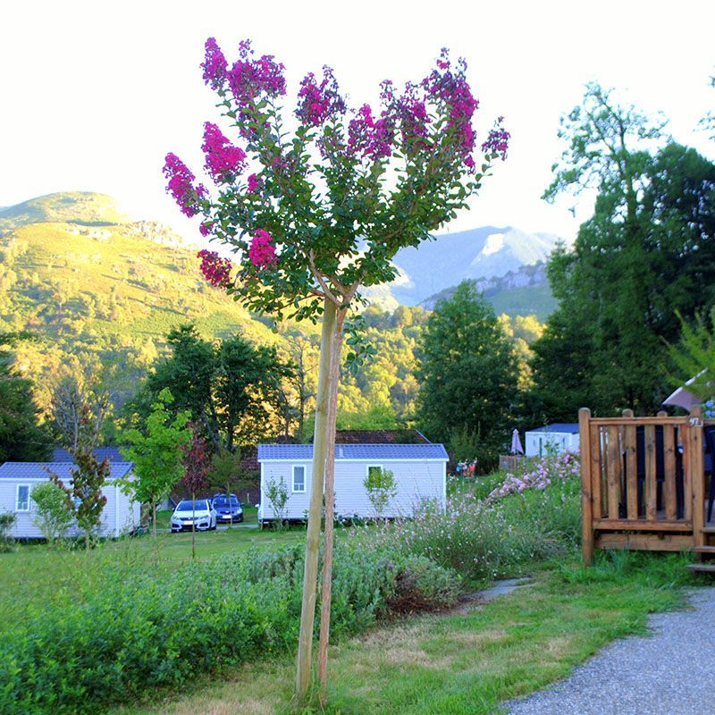 Camping Arrouach - Photo 2