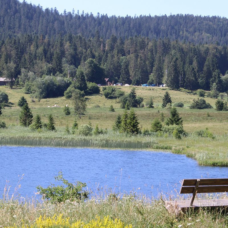 Camping du Bugnon - Photo 4