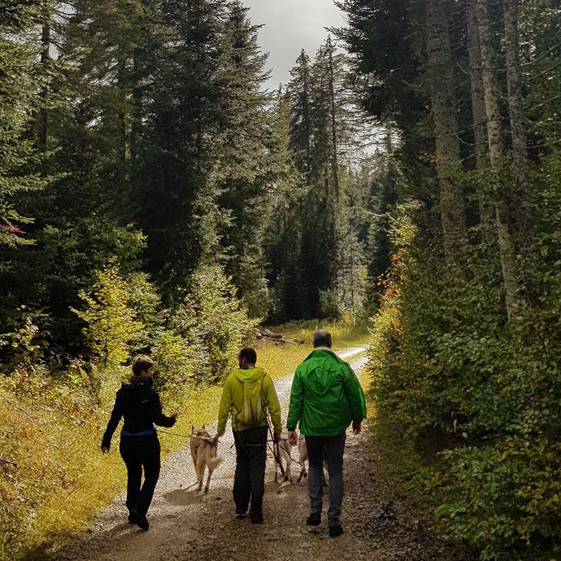 Wandern und Trekking