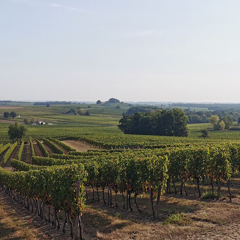 Camping Du Vieux Château - Photo 1