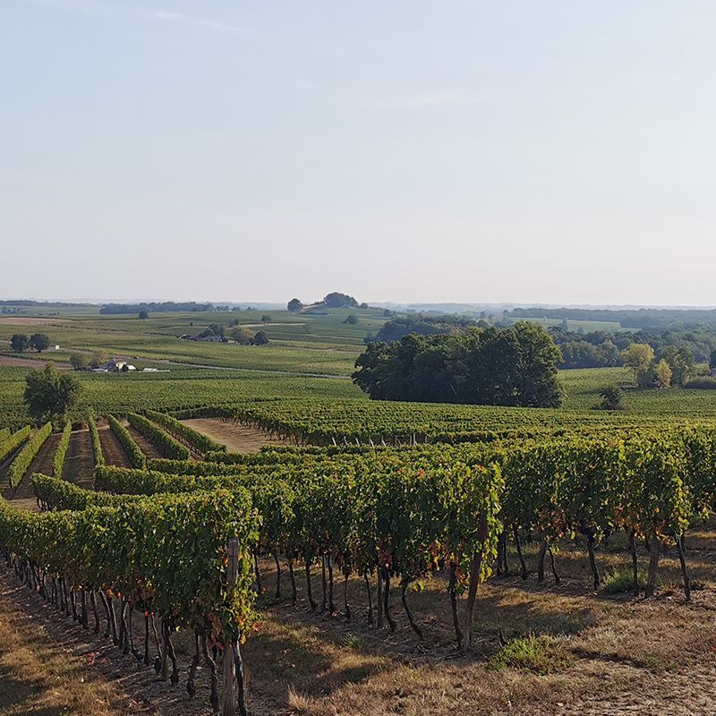 Camping Le Vieux Château - Photo 1