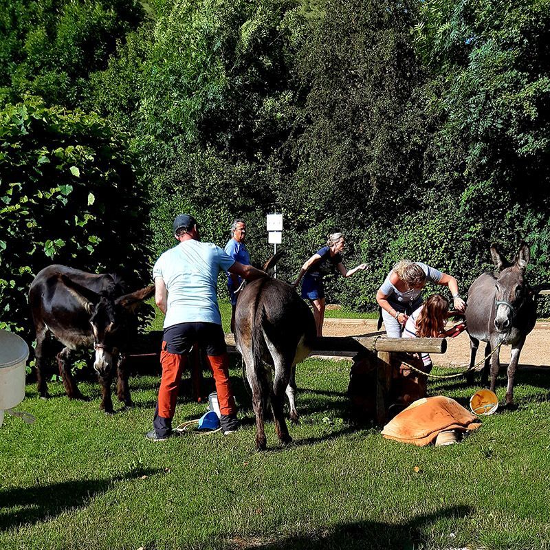 Camping La Cascade - Photo 2