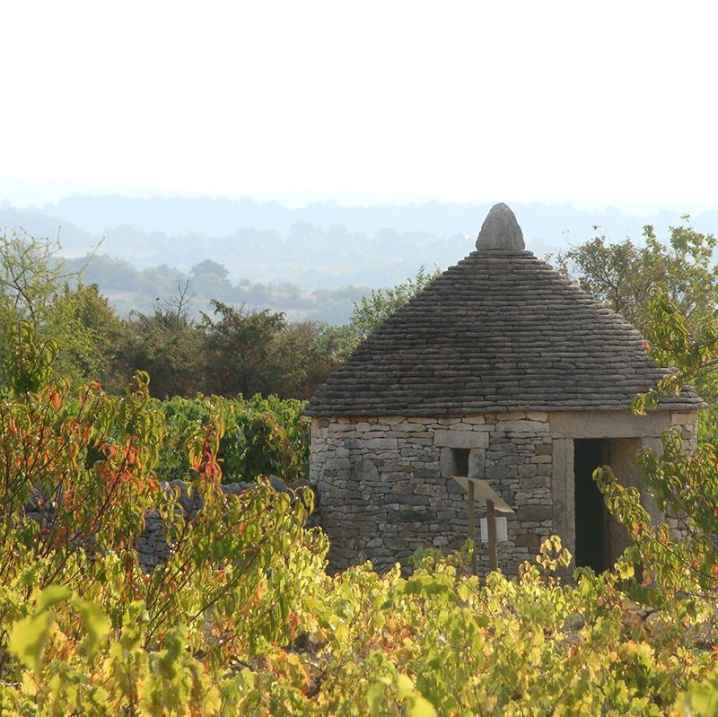 Randonnée et Trail