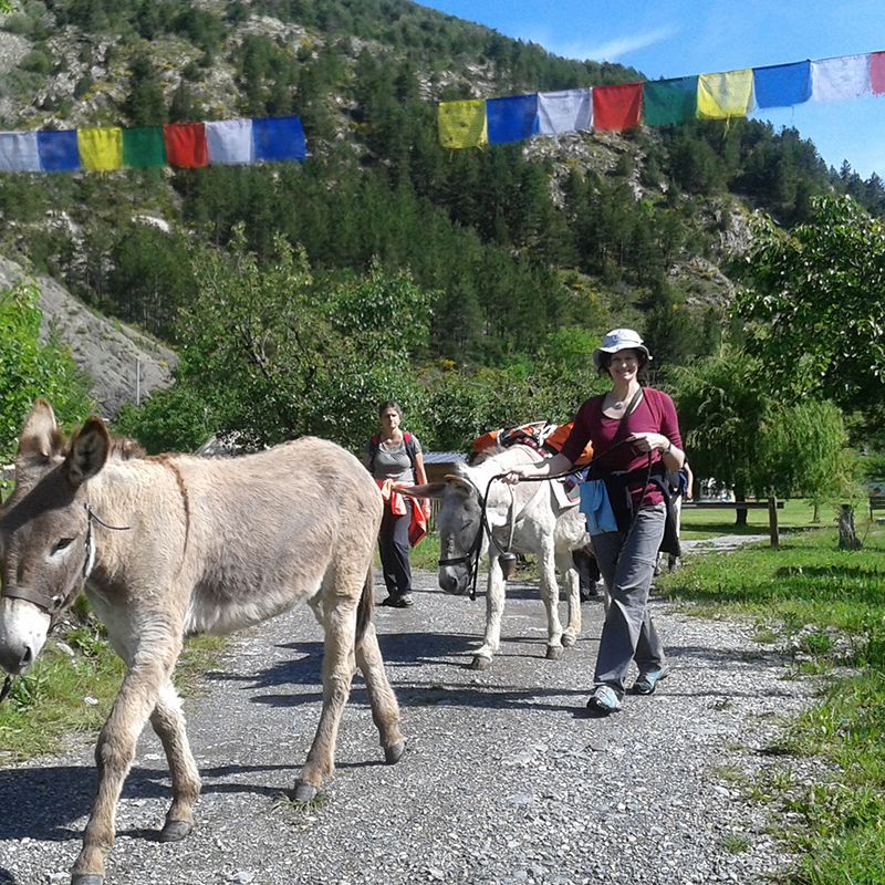 Wandern und Trekking