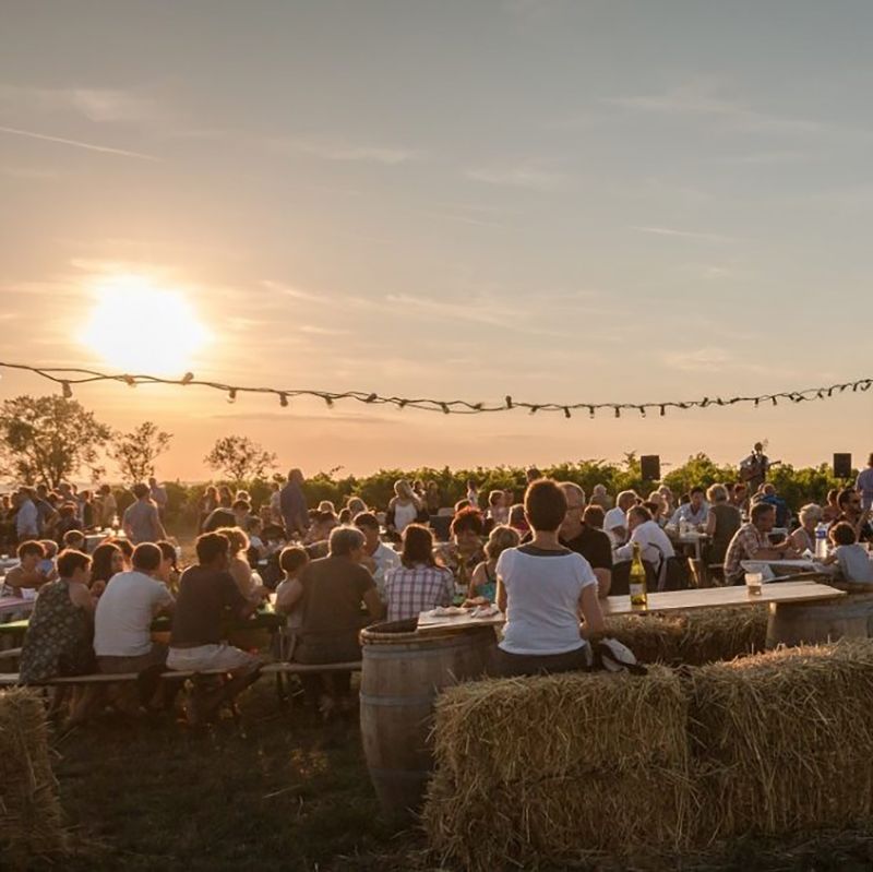 Gastronomie en wijntoerisme