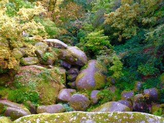 5 bonnes raisons de venir en Bretagne