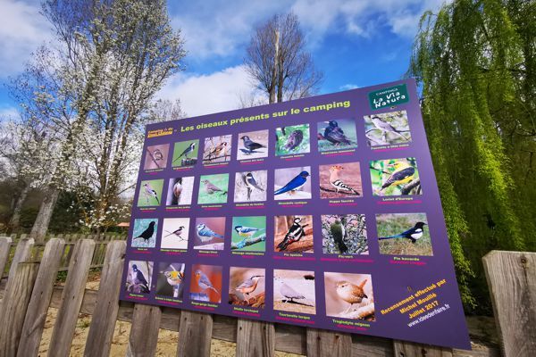 Présentation des oiseaux présents au camping du Vieux chateau