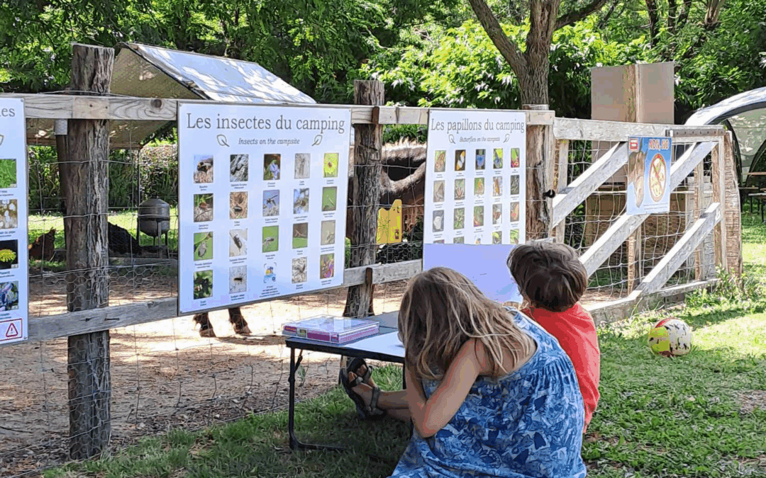 Vie des Campings et anecdotes de saison