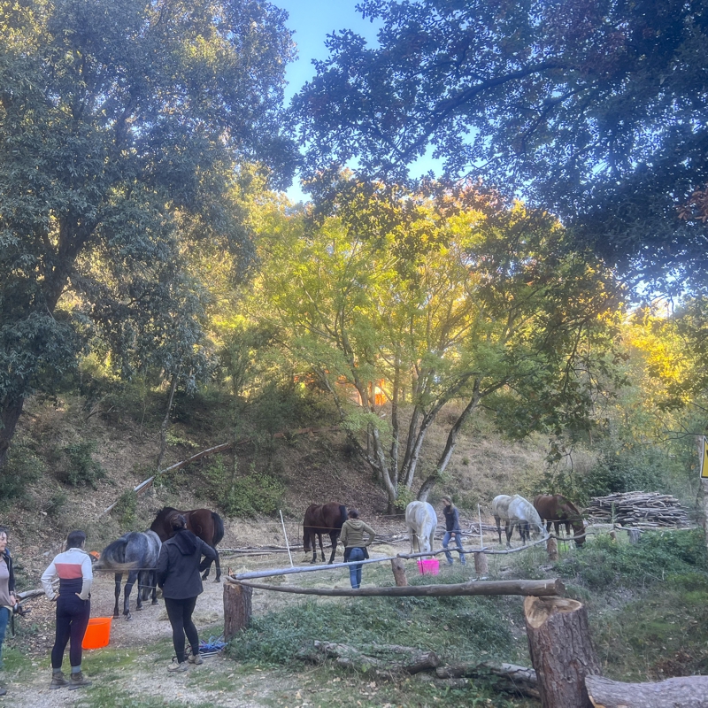 Développement Durable